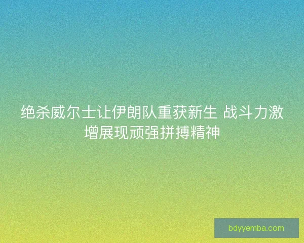 绝杀威尔士让伊朗队重获新生 战斗力激增展现顽强拼搏精神